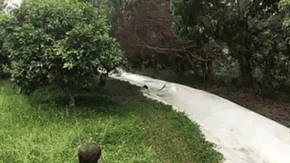 Clip: 1 SLIDE, 5 FAILS