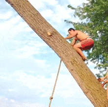 Rope swing gets unluckier the more I watch it — fail moment