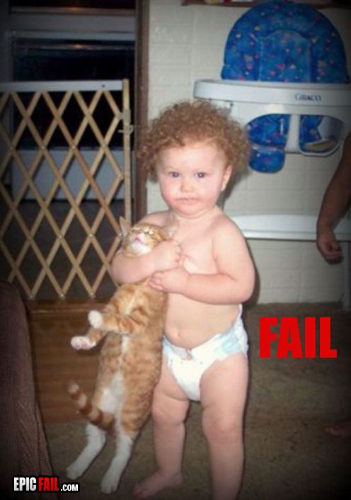 Clip: cat Fail
