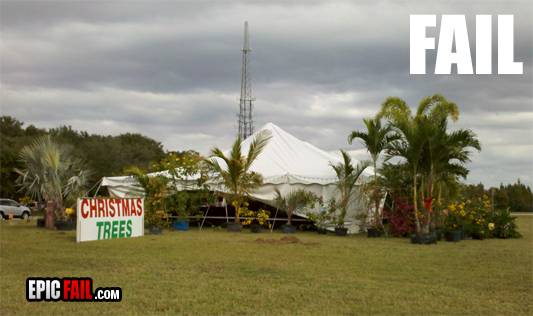 Caught on camera: christmas Trees Fail