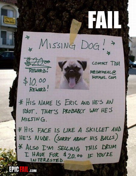 Watch: dog Owner Fail