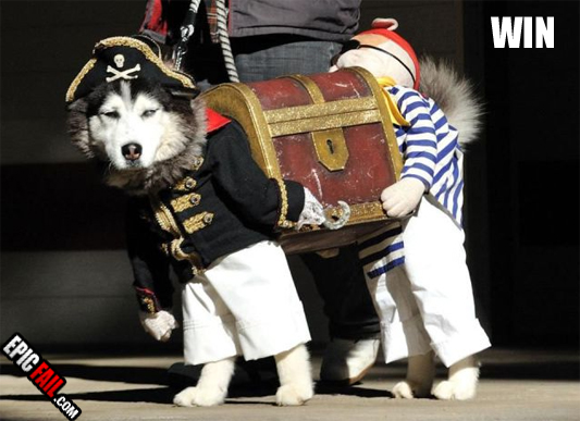 Caught on camera: dog Costume Win