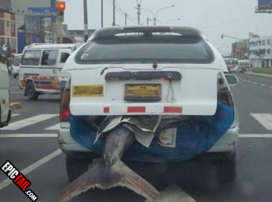 Scene: wTF Consideration Fail
