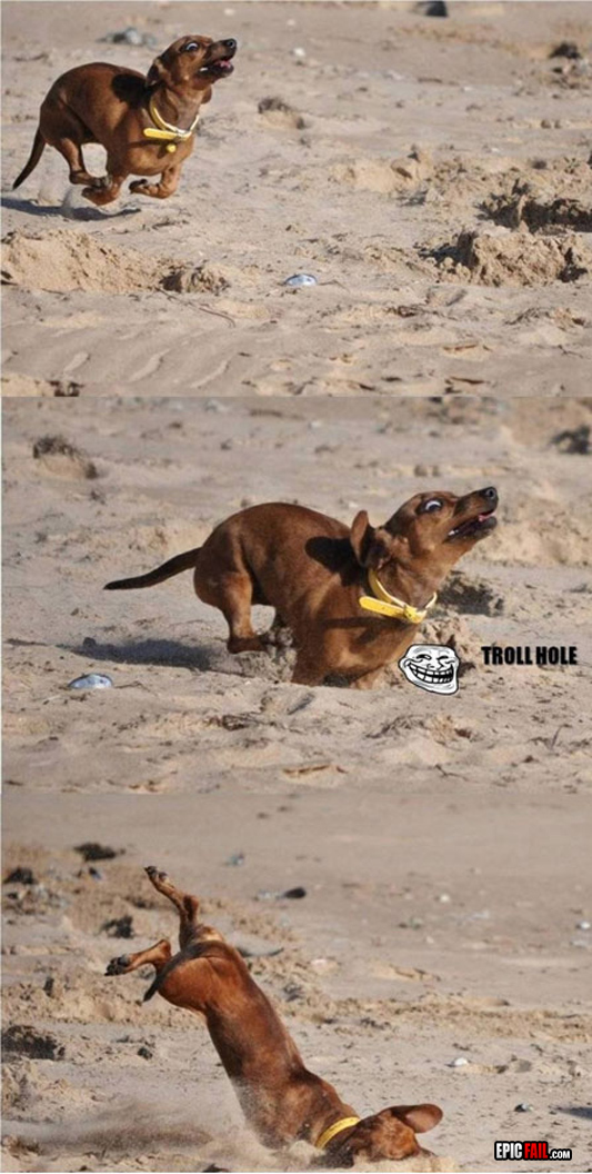 Clip: dog Fail