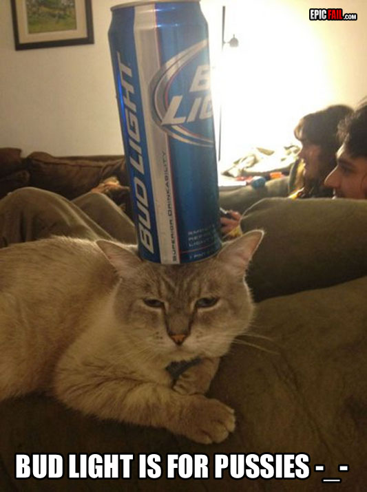 Cat Win — fail moment