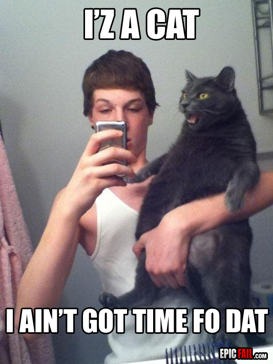 Cat Expression Win — fail moment
