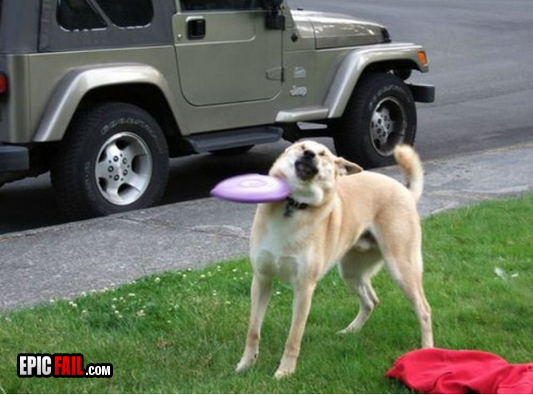 Scene: catch Fail
