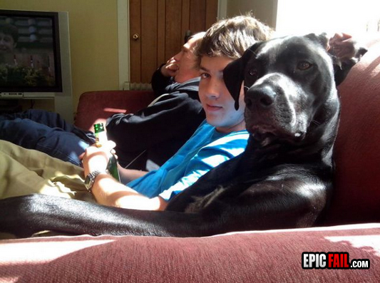 Moment: dog Expression Win