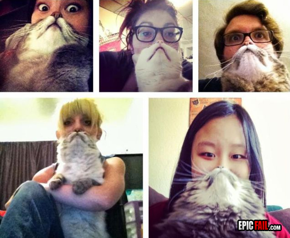 Cat Faces Win — fail moment