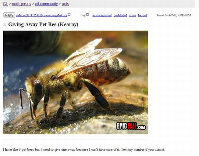 Moment: craigslist FAIL