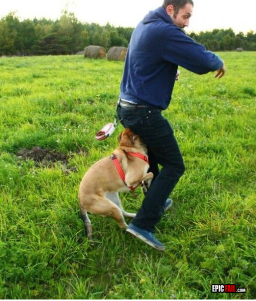 Moment: dog Walk FAIL