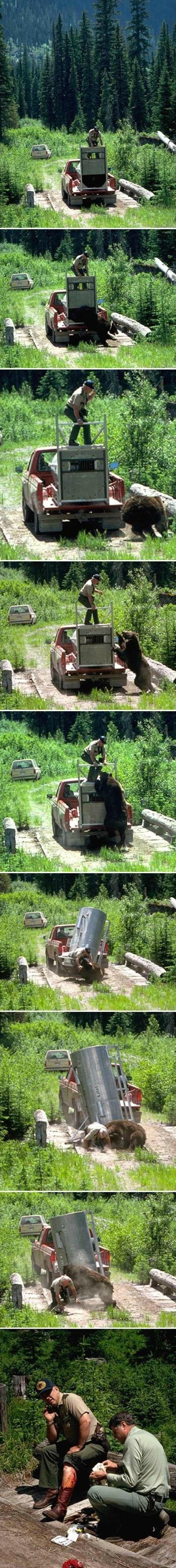 Watch: bear Control FAIL