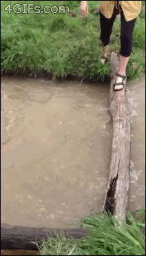 Dunked On — fail moment