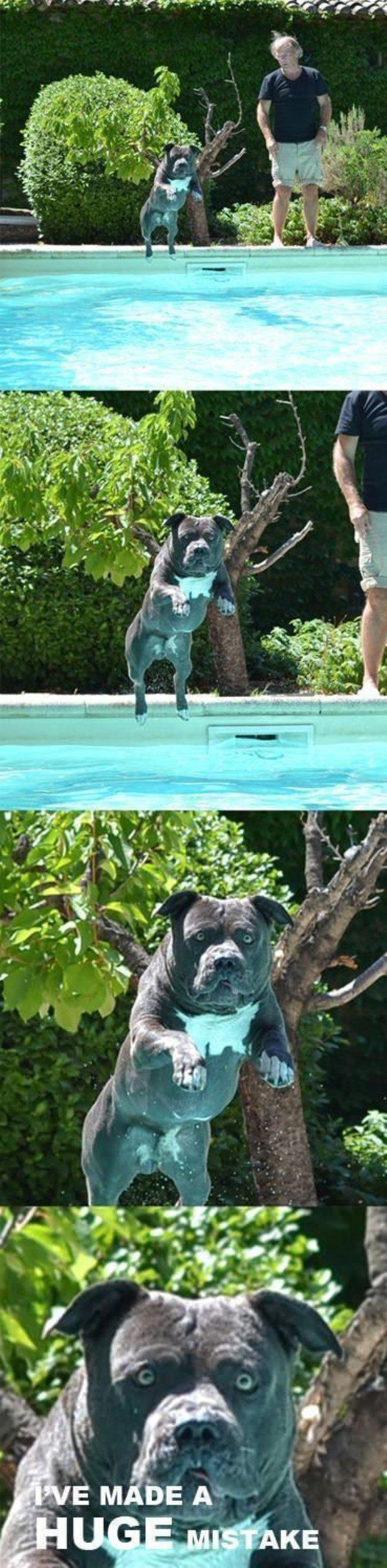 CANNONBAAAA — shit. — fail moment
