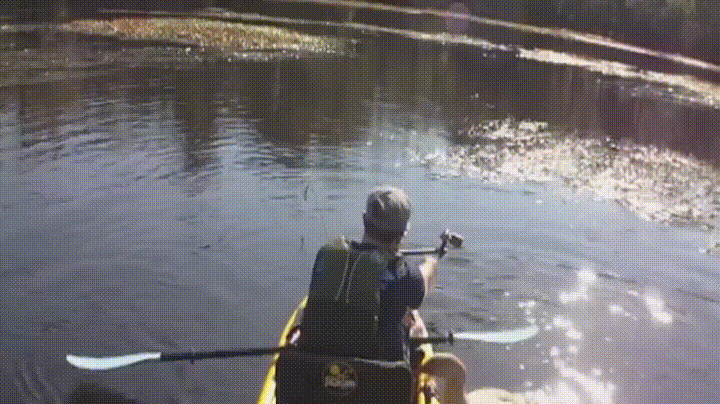 A Hunter is Born — fail moment