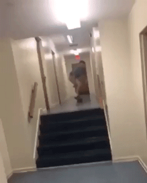 2ND YEAR PHYSICS STUDENT — fail moment