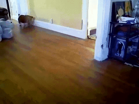 AIR-BOOP — fail moment
