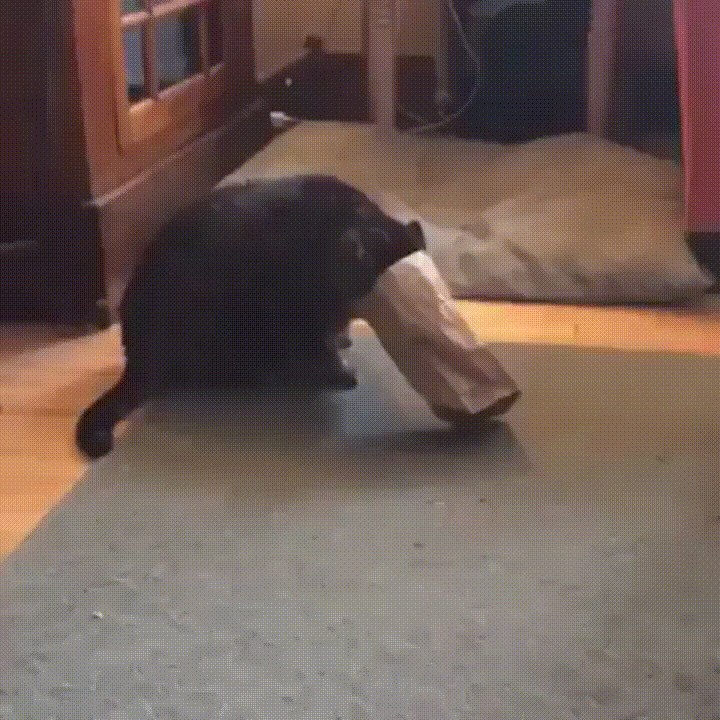 NOPE NOPE NOPE Nope nope nopeeeeeeeee — fail moment